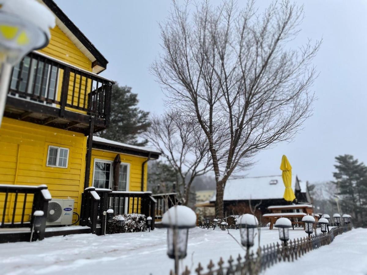 Honey Bear Pension 平昌郡 エクステリア 写真