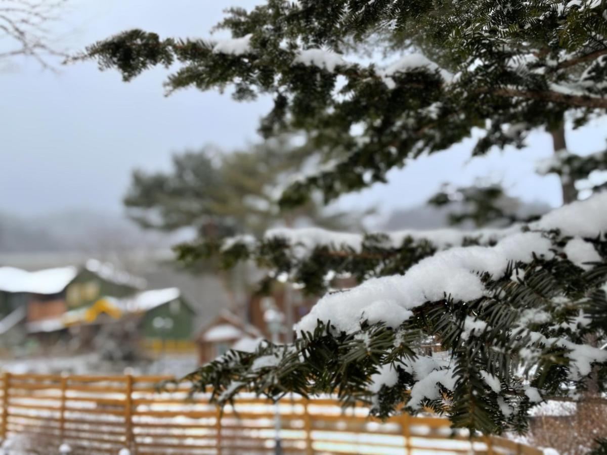 Honey Bear Pension 平昌郡 エクステリア 写真