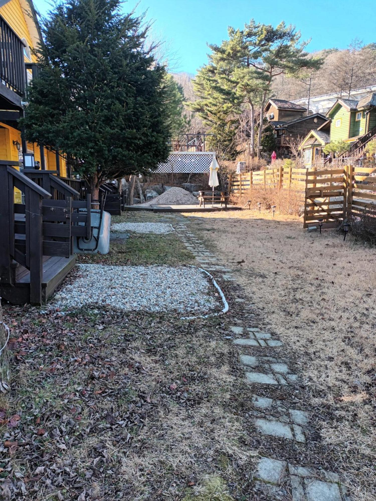Honey Bear Pension 平昌郡 エクステリア 写真